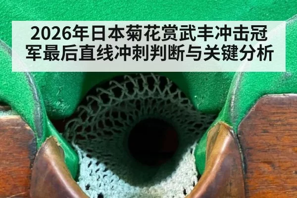 2026年日本菊花赏武丰冲击冠军最后直线冲刺判断与关键分析